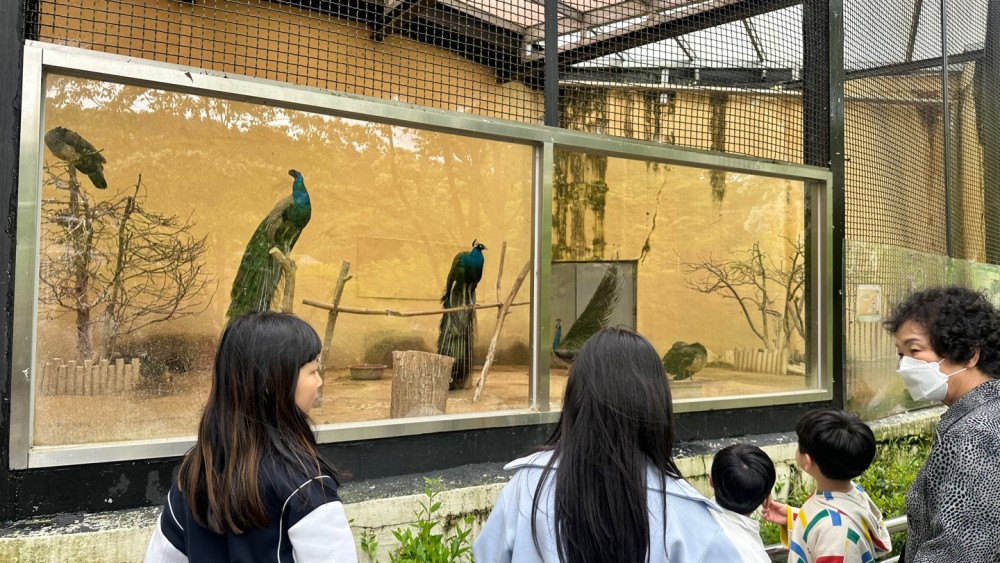 KakaoTalk_20250510_174824779_03.jpg