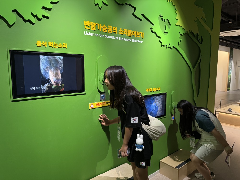 KakaoTalk_20260627_155249159_18.jpg
